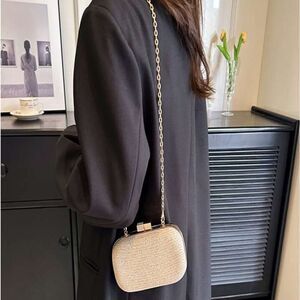 ESTEE &LILLY SILVER METALLIC GLITTER EMBROIDERY CLUTCH